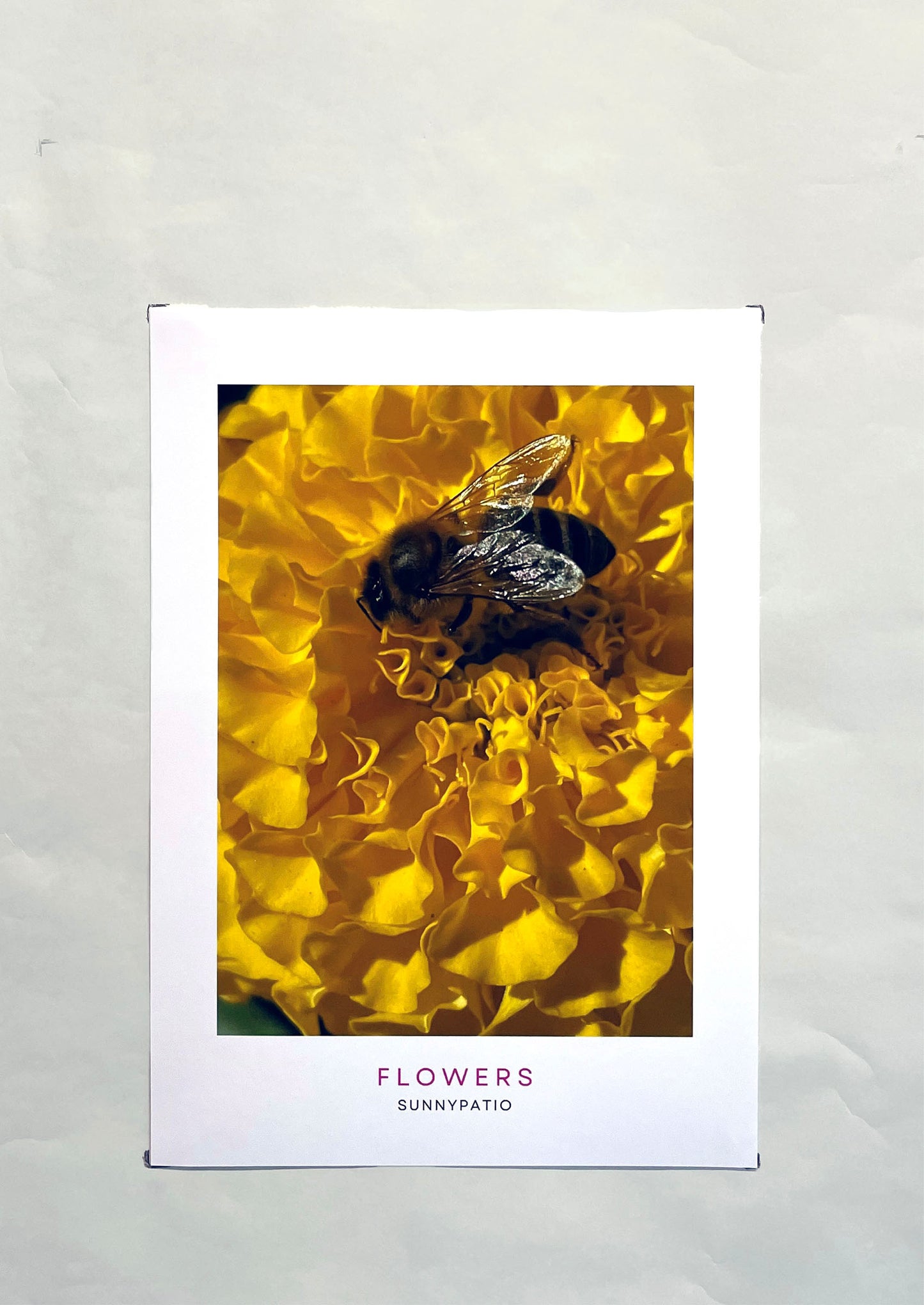 FLOWERS - Bee Mine