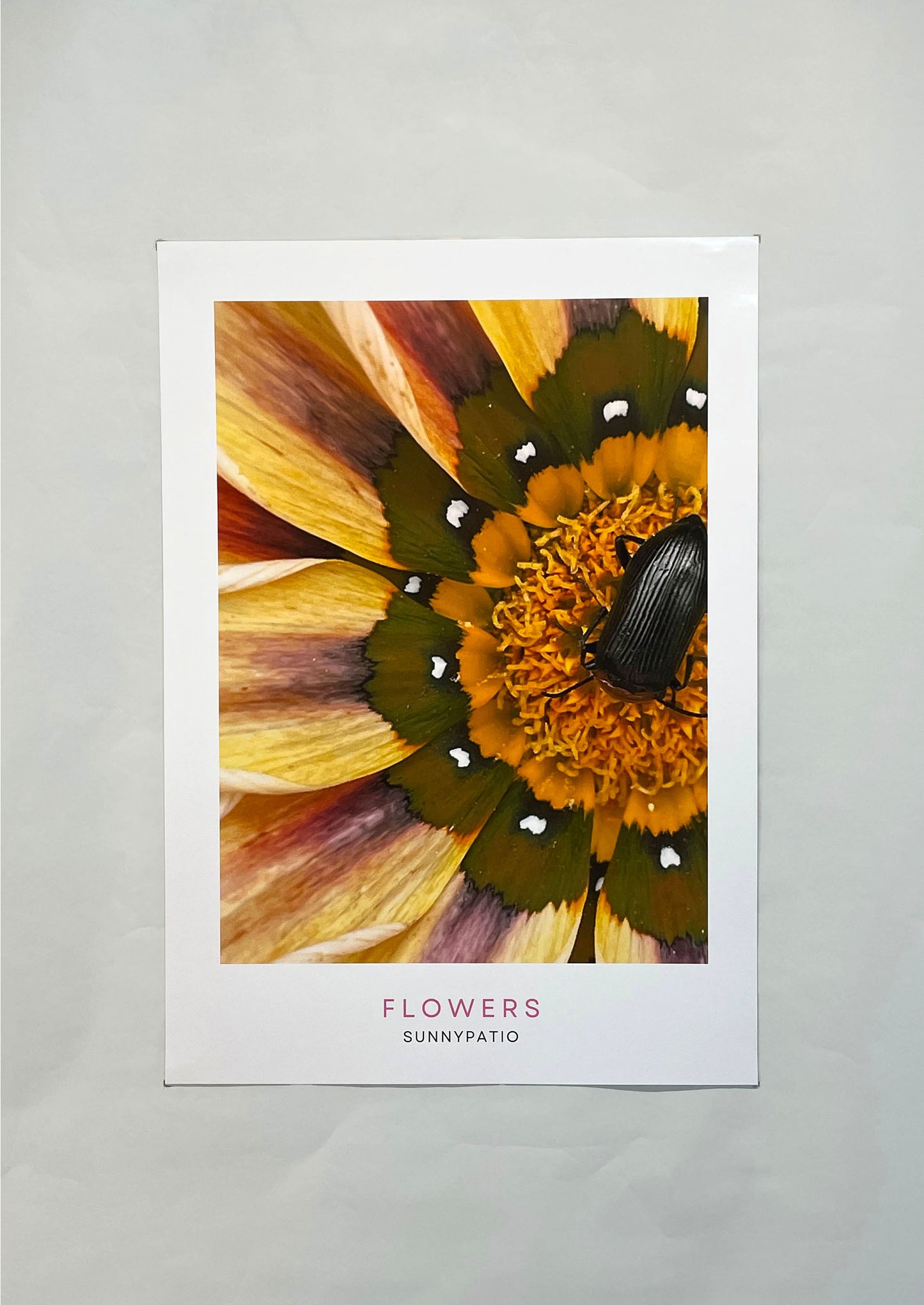 FLOWERS - Wild Attraction