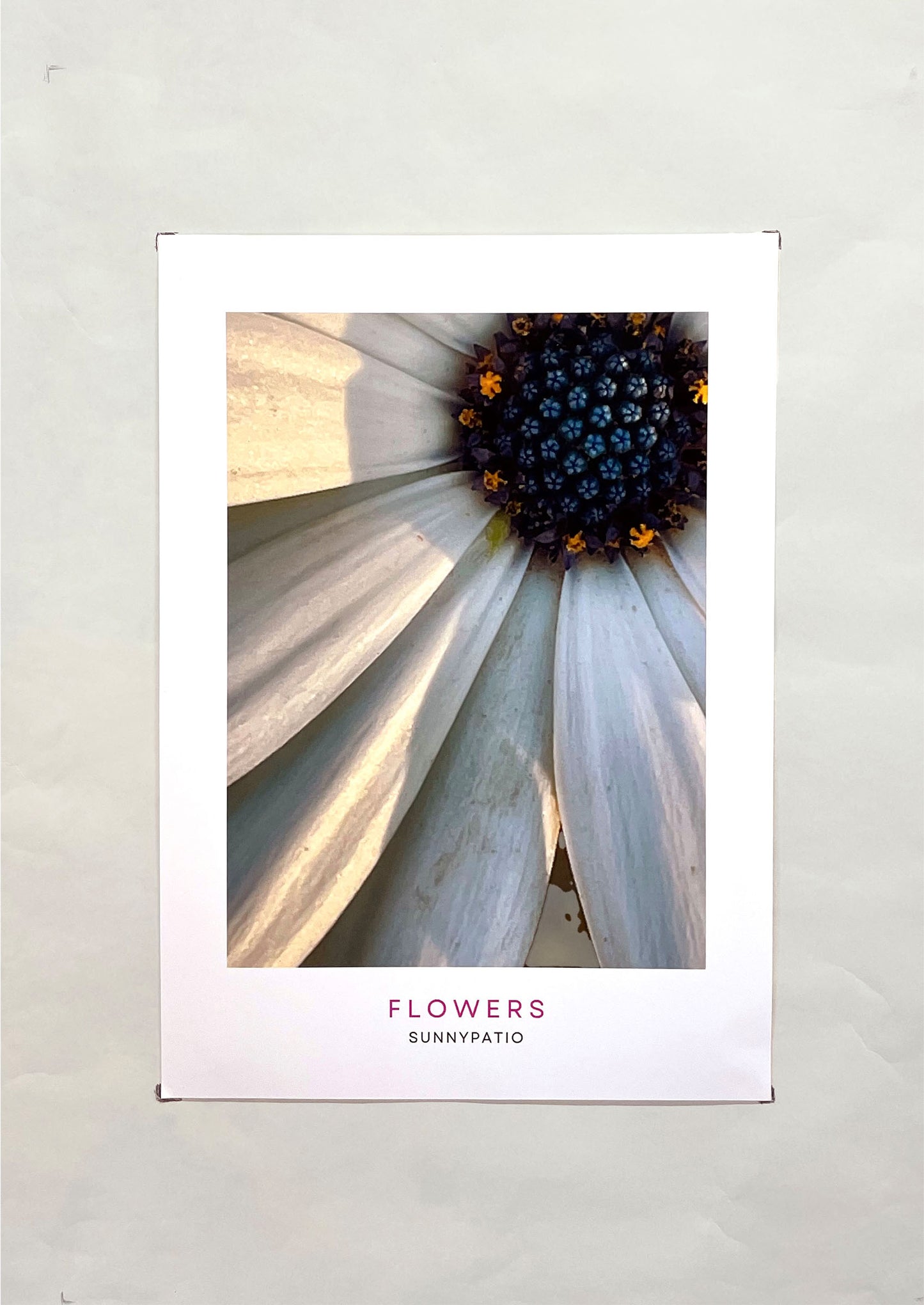 FLOWERS - Closer Please!