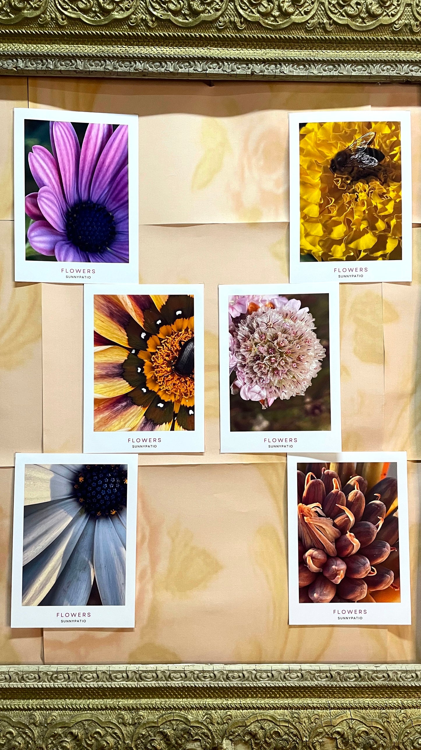 FLOWERS - A Garden in Your Hands