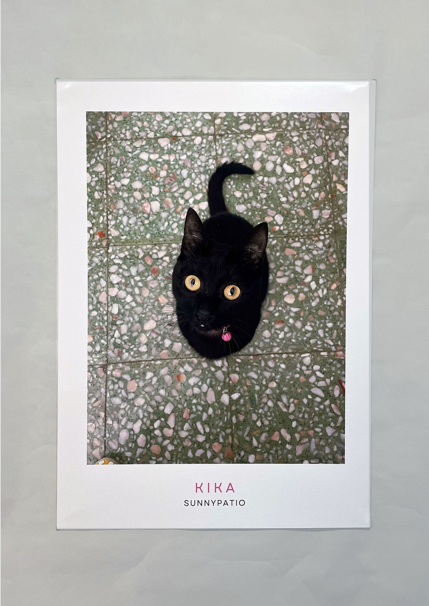 CATS - Under the Spell of Kika