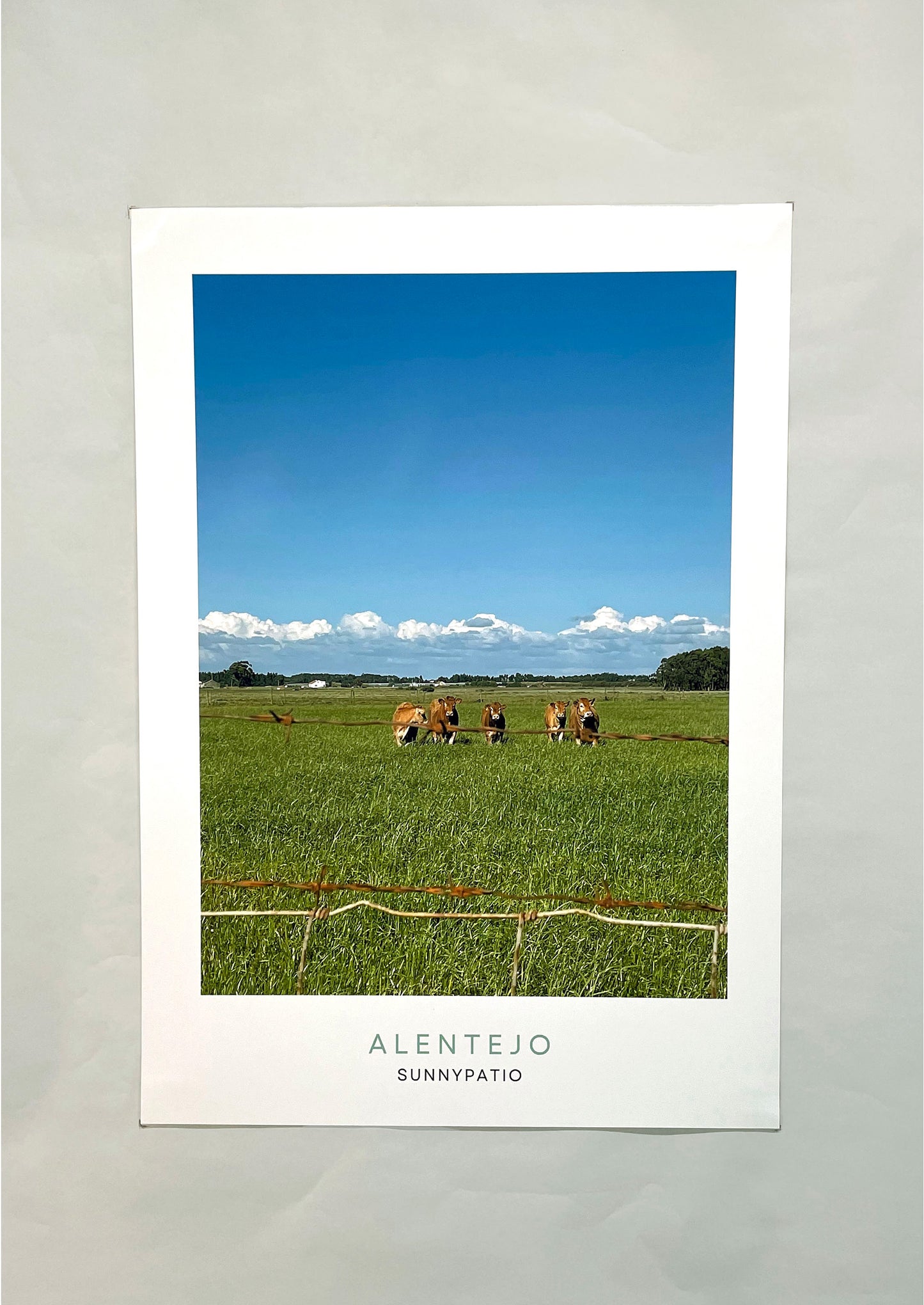 ALENTEJO - Cow Therapy
