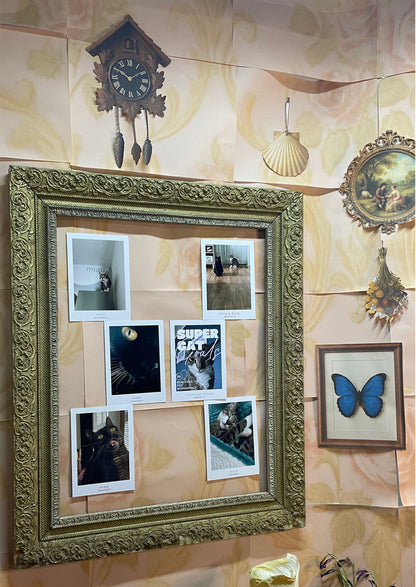 CATS - Nine Live, Infinite Charm