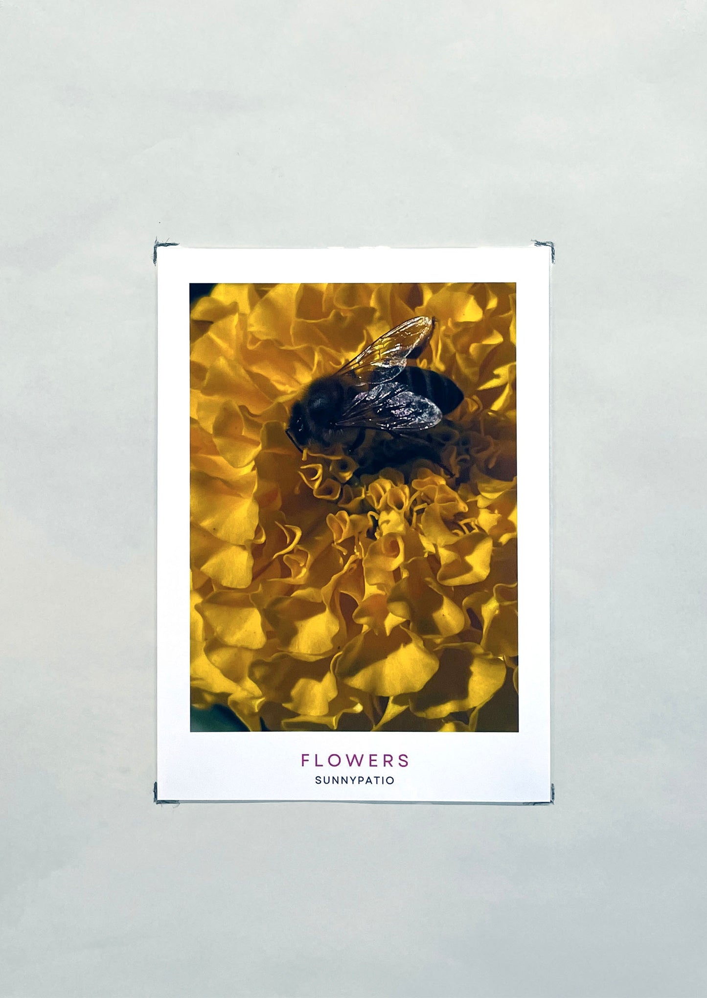 MIXED POSTCARD SET - Tiny Stories, Big Feelings