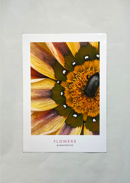 FLOWERS - Wild Attraction