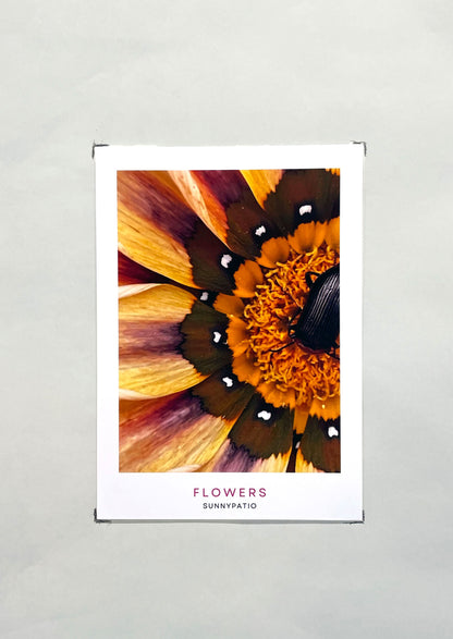 FLOWERS - A Garden in Your Hands