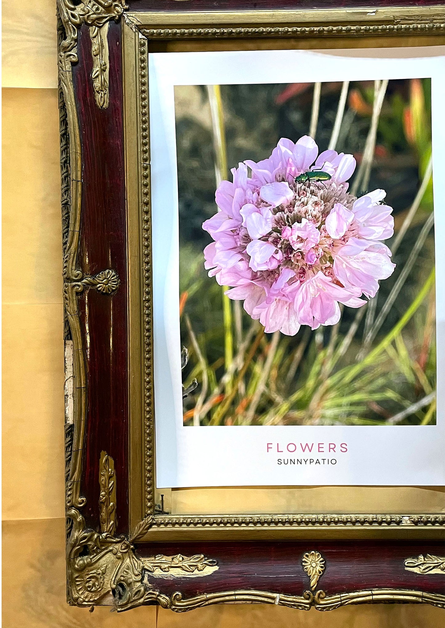 FLOWERS - Sweet Encounter