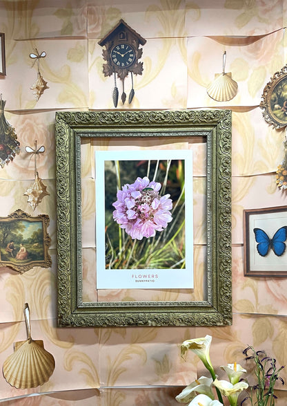 FLOWERS - Sweet Encounter