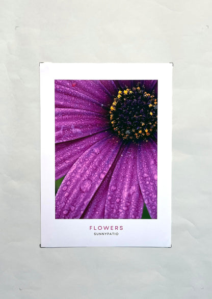 FLOWERS - Morning Dew