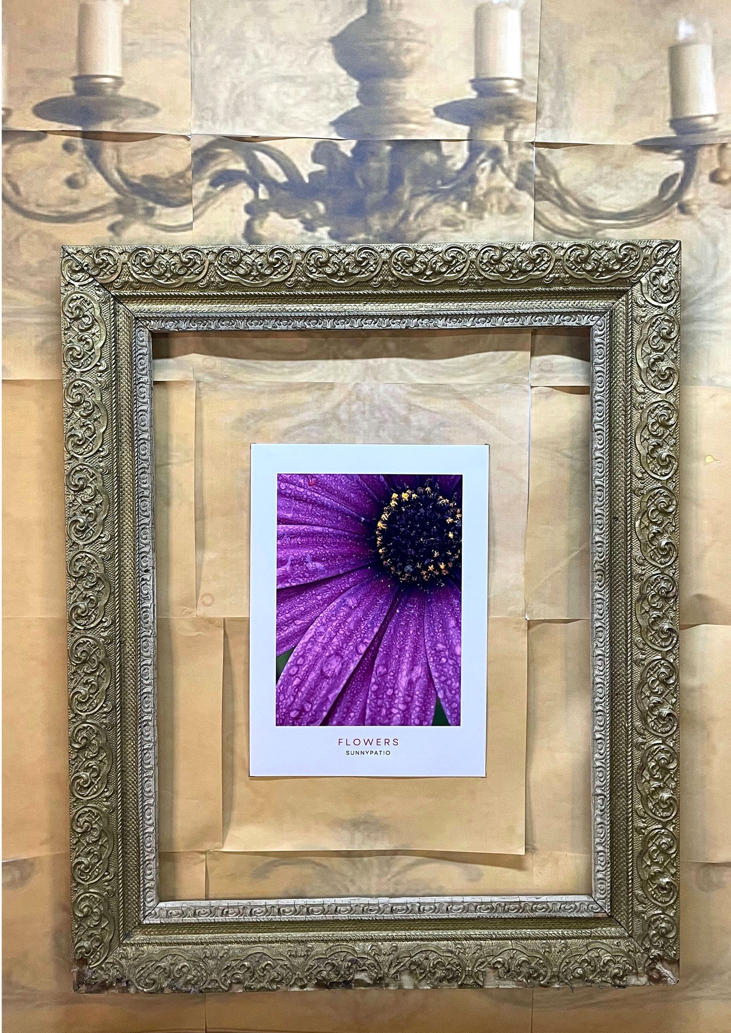 FLOWERS - Morning Dew