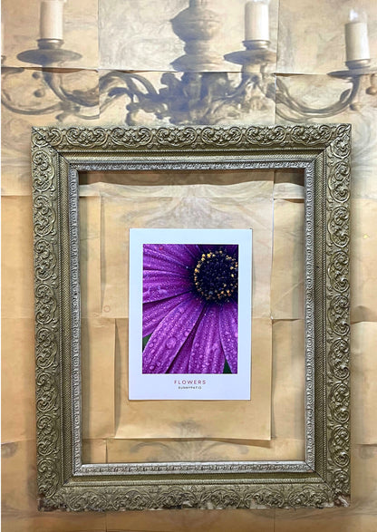 FLOWERS - Morning Dew