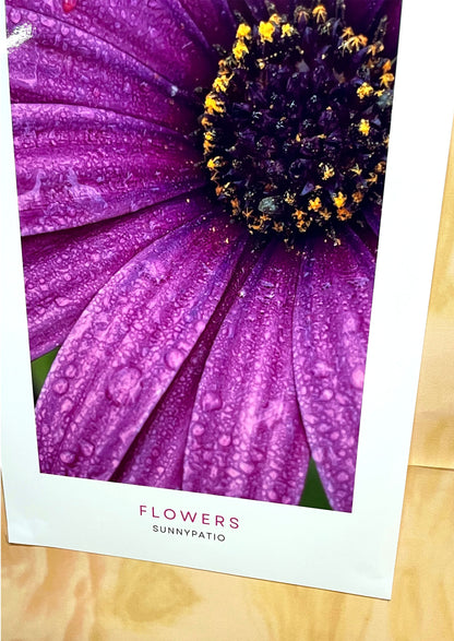 FLOWERS - Morning Dew