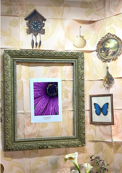 FLOWERS - Morning Dew