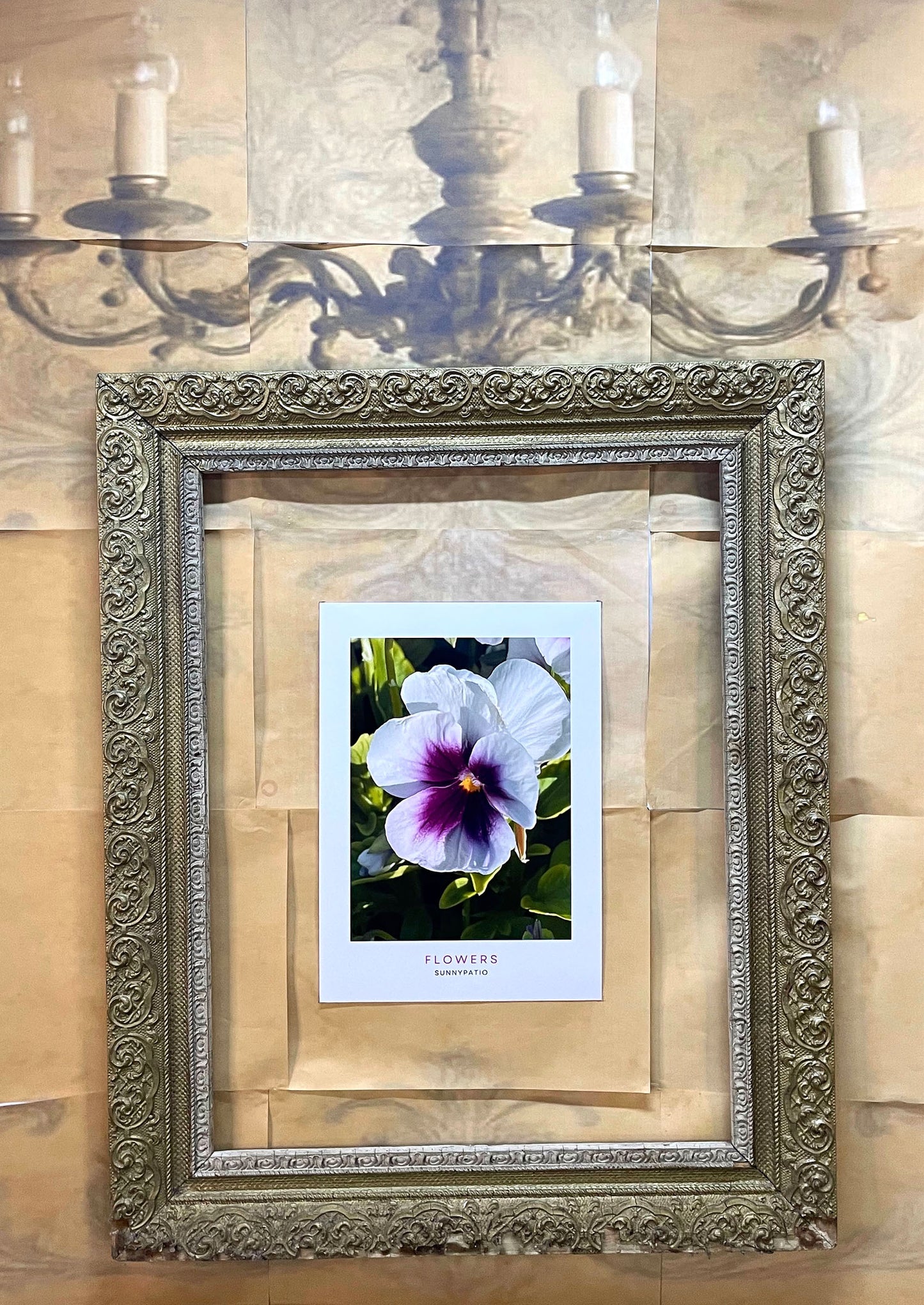 FLOWERS - Violet Heart