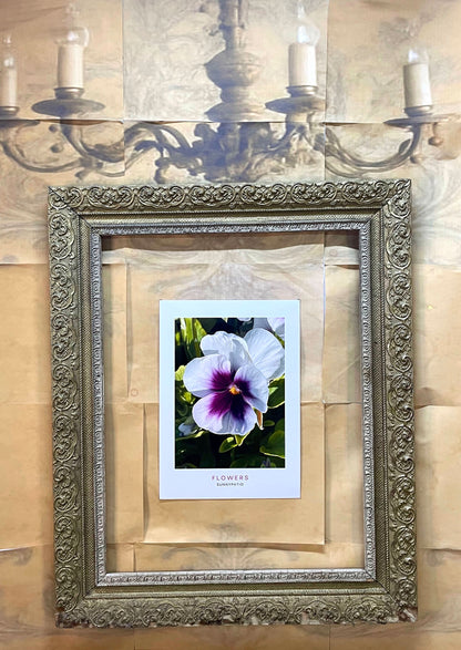 FLOWERS - Violet Heart