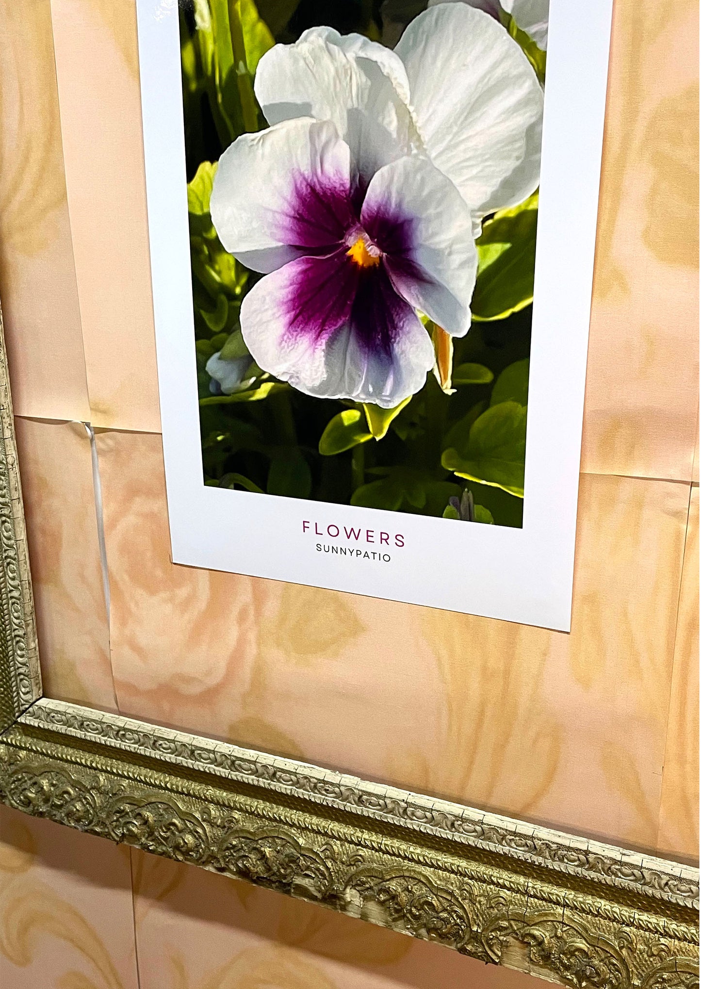 FLOWERS - Violet Heart