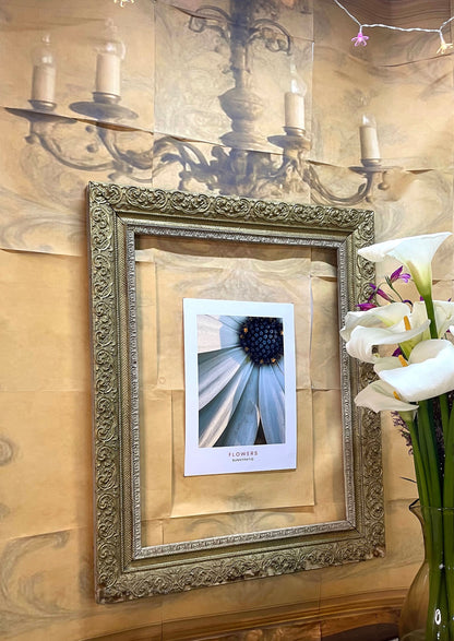 FLOWERS - Closer Please!