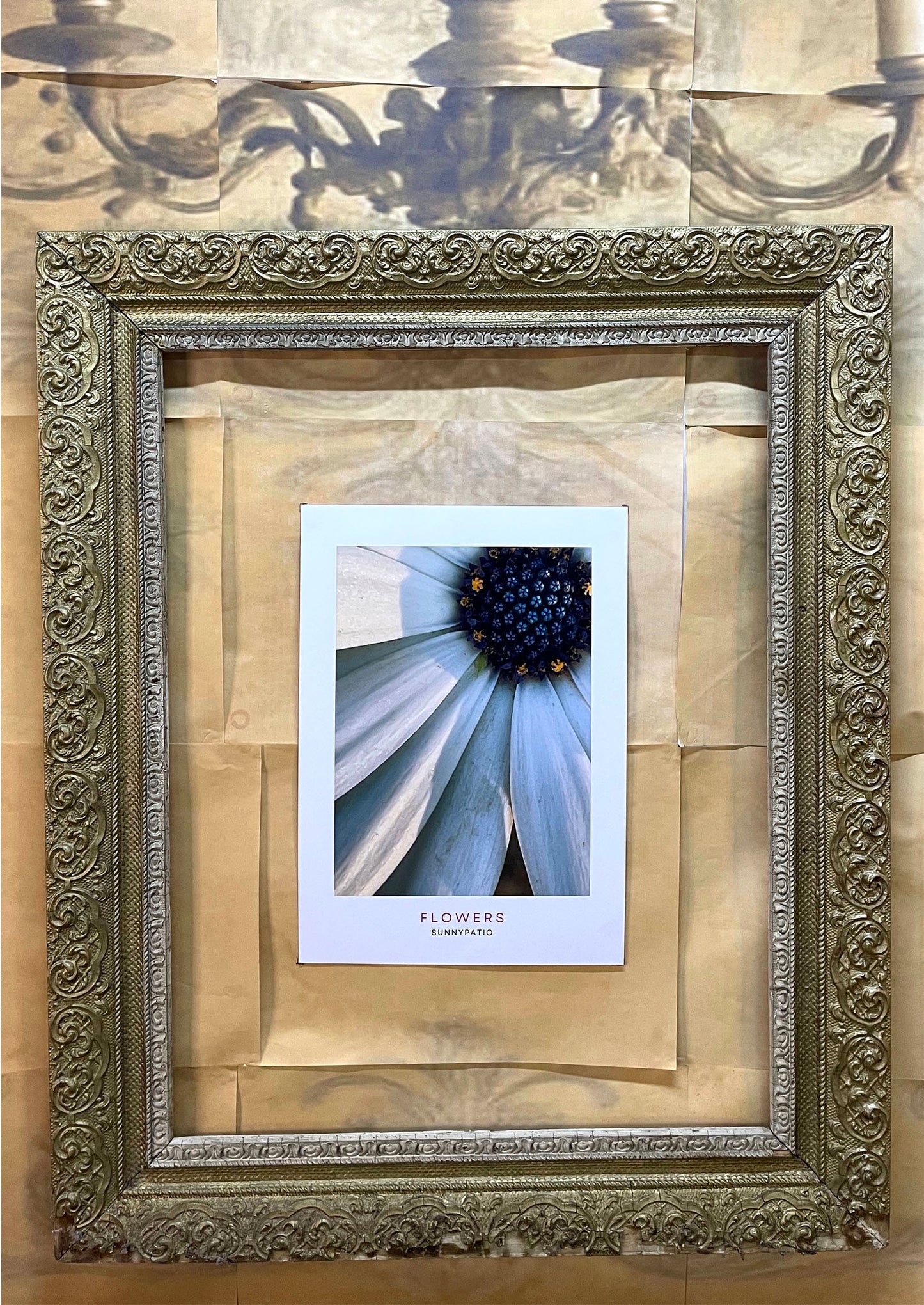 FLOWERS - Closer Please!