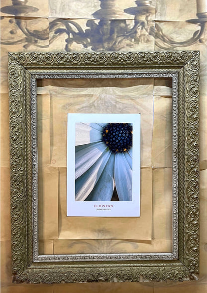 FLOWERS - Closer Please!