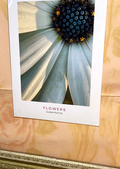 FLOWERS - Closer Please!