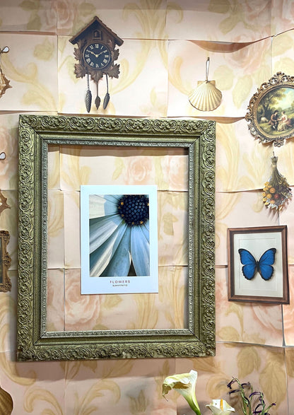 FLOWERS - Closer Please!