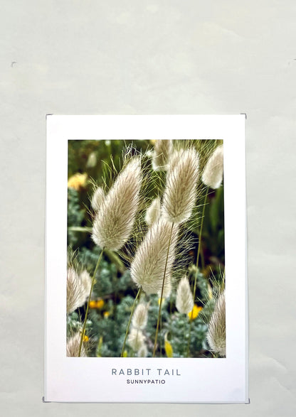 FLOWERS - Rabbit Tail