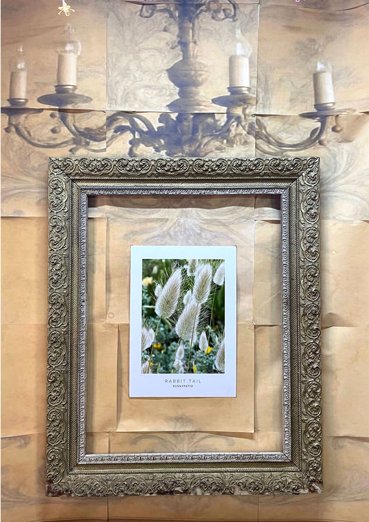 FLOWERS - Rabbit Tail