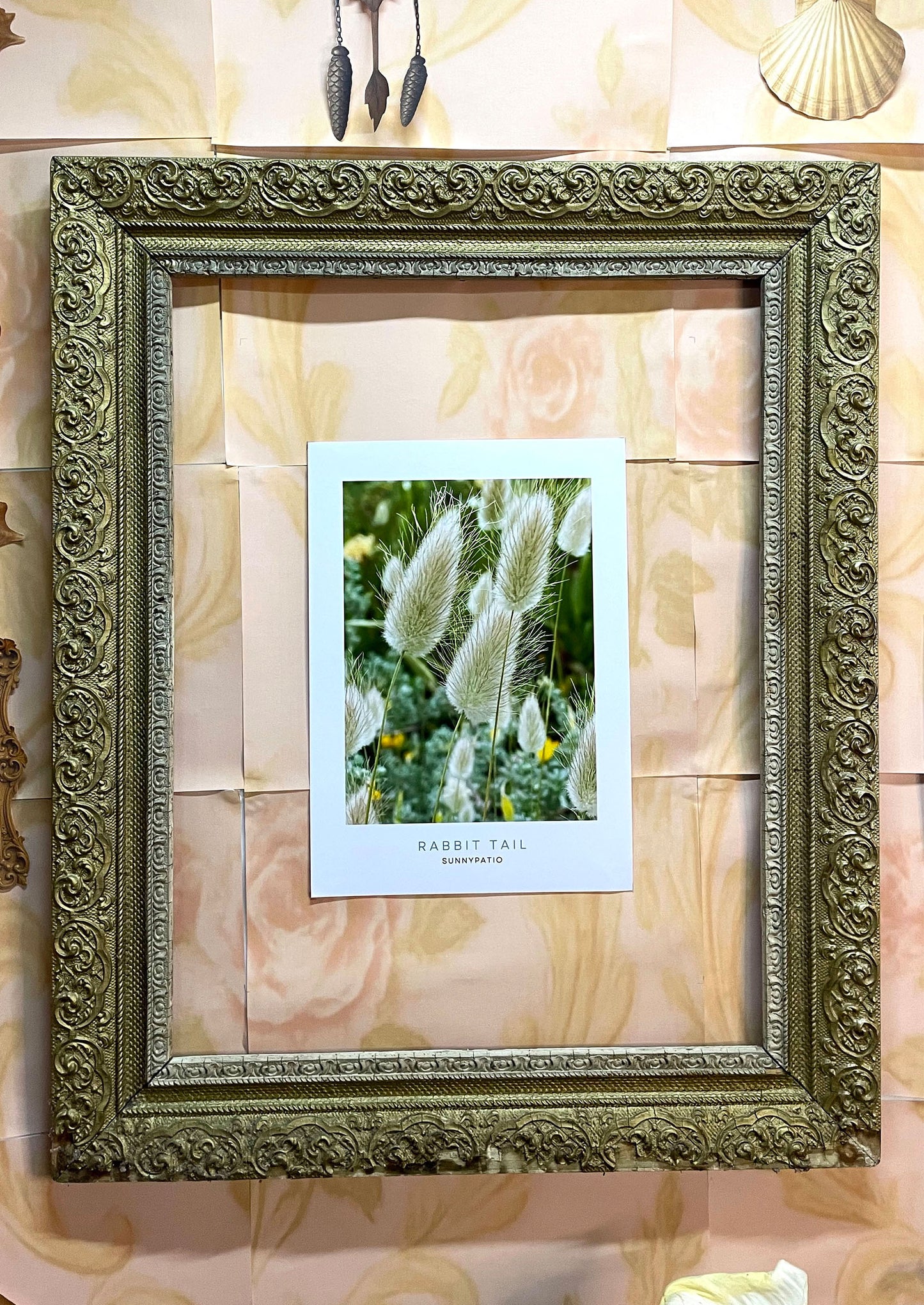 FLOWERS - Rabbit Tail