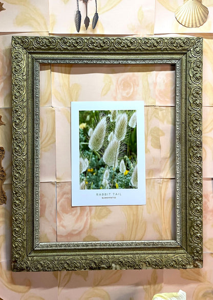 FLOWERS - Rabbit Tail