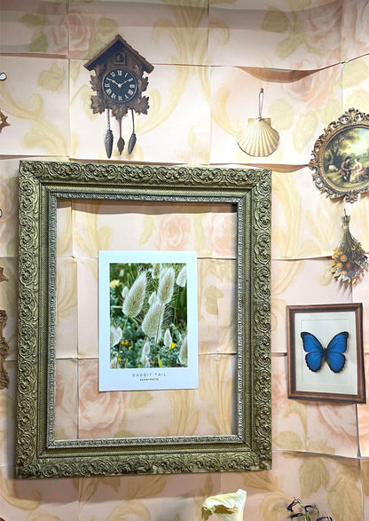 FLOWERS - Rabbit Tail