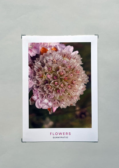 FLOWERS - A Garden in Your Hands