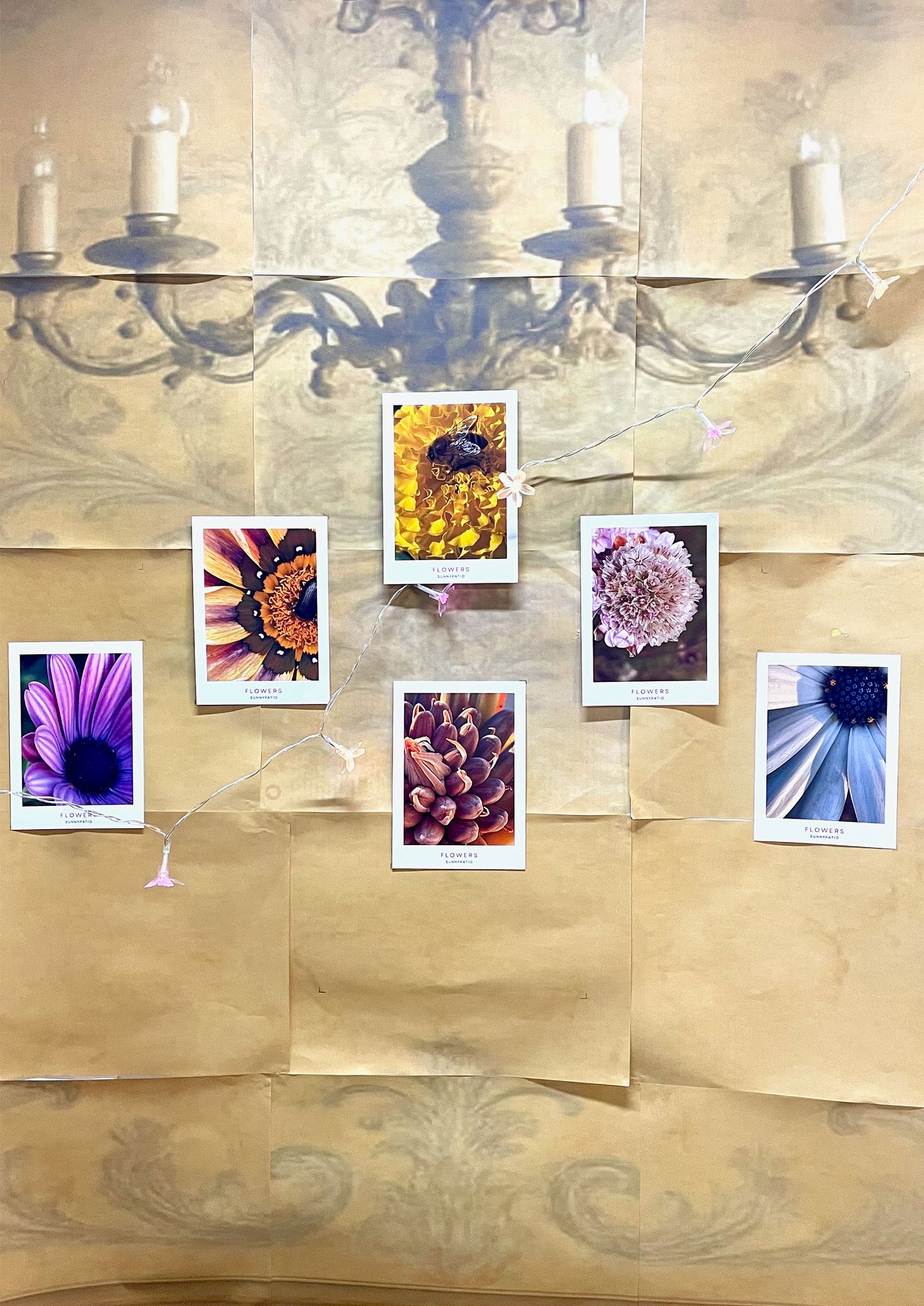 FLOWERS - A Garden in Your Hands