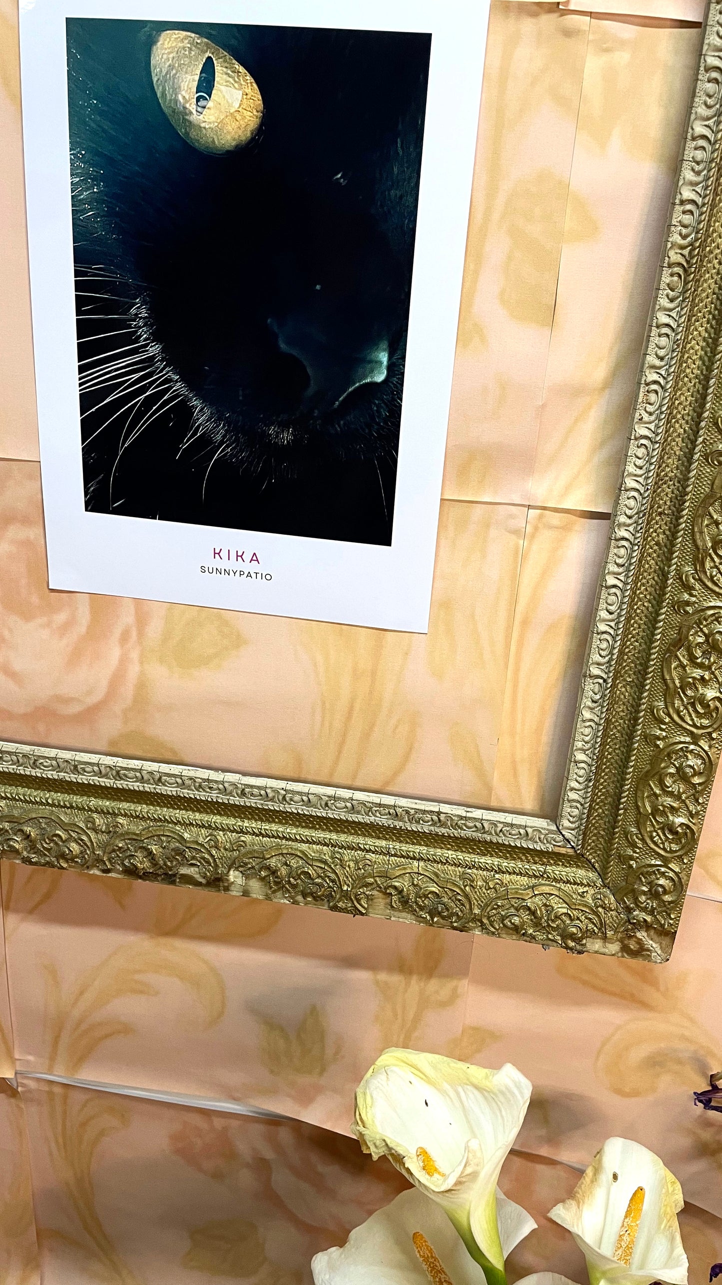 CATS - Kika to Glam to Give a Damn