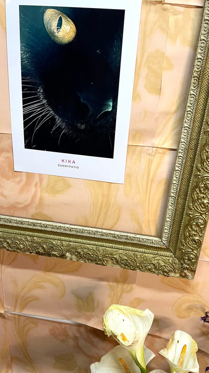 CATS - Kika to Glam to Give a Damn