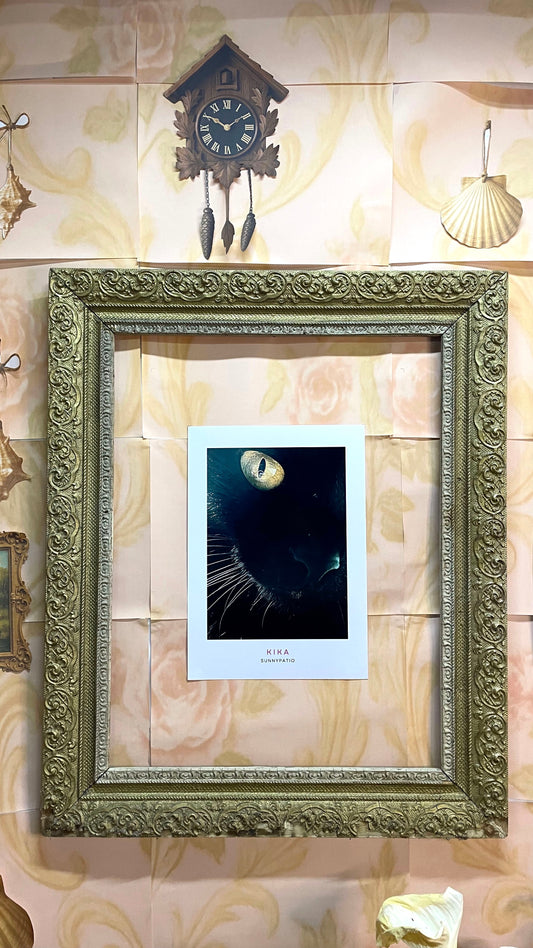 CATS - Kika to Glam to Give a Damn