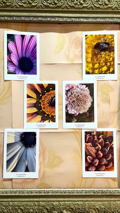 FLOWERS - A Garden in Your Hands