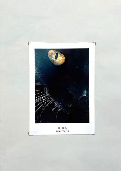 MIXED POSTCARD SET - Tiny Stories, Big Feelings