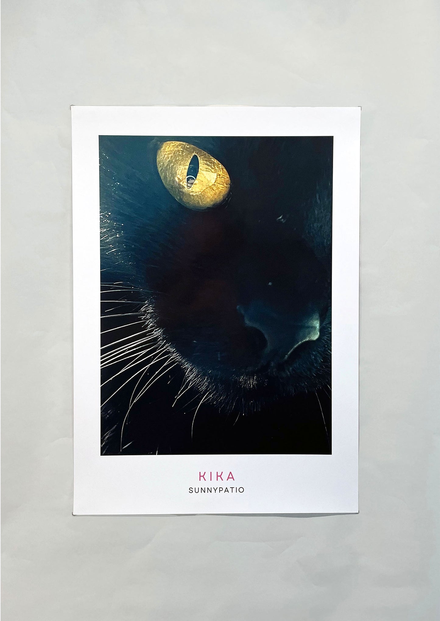 CATS - Kika to Glam to Give a Damn