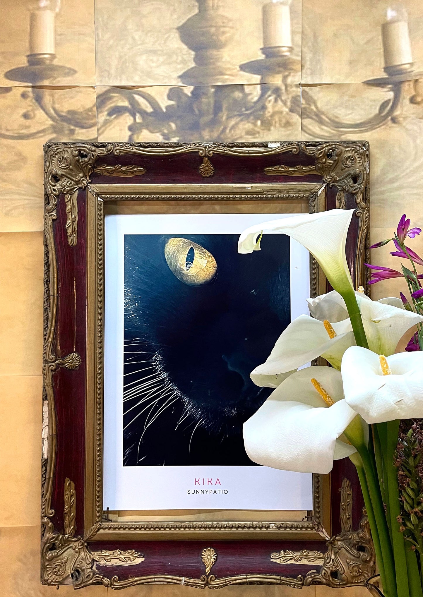 CATS - Kika to Glam to Give a Damn