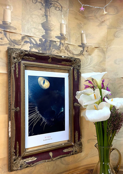 CATS - Kika to Glam to Give a Damn