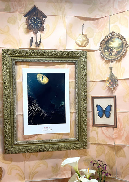 CATS - Kika to Glam to Give a Damn