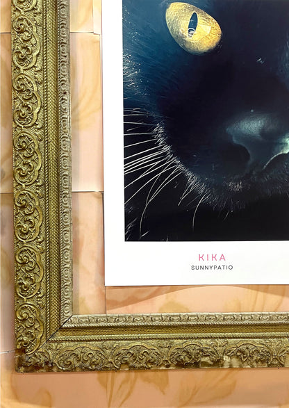 CATS - Kika to Glam to Give a Damn