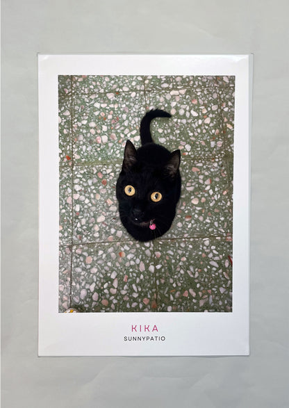 CATS - Under the Spell of Kika