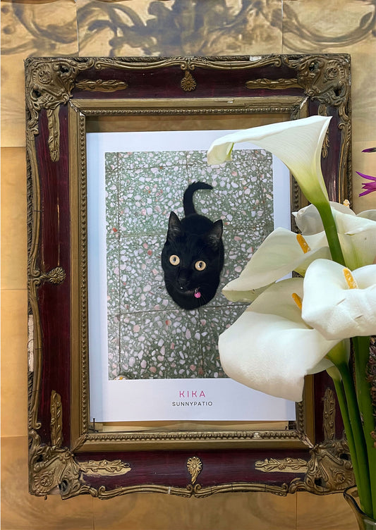 CATS - Under the Spell of Kika