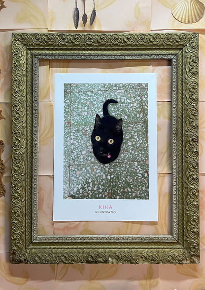 CATS - Under the Spell of Kika