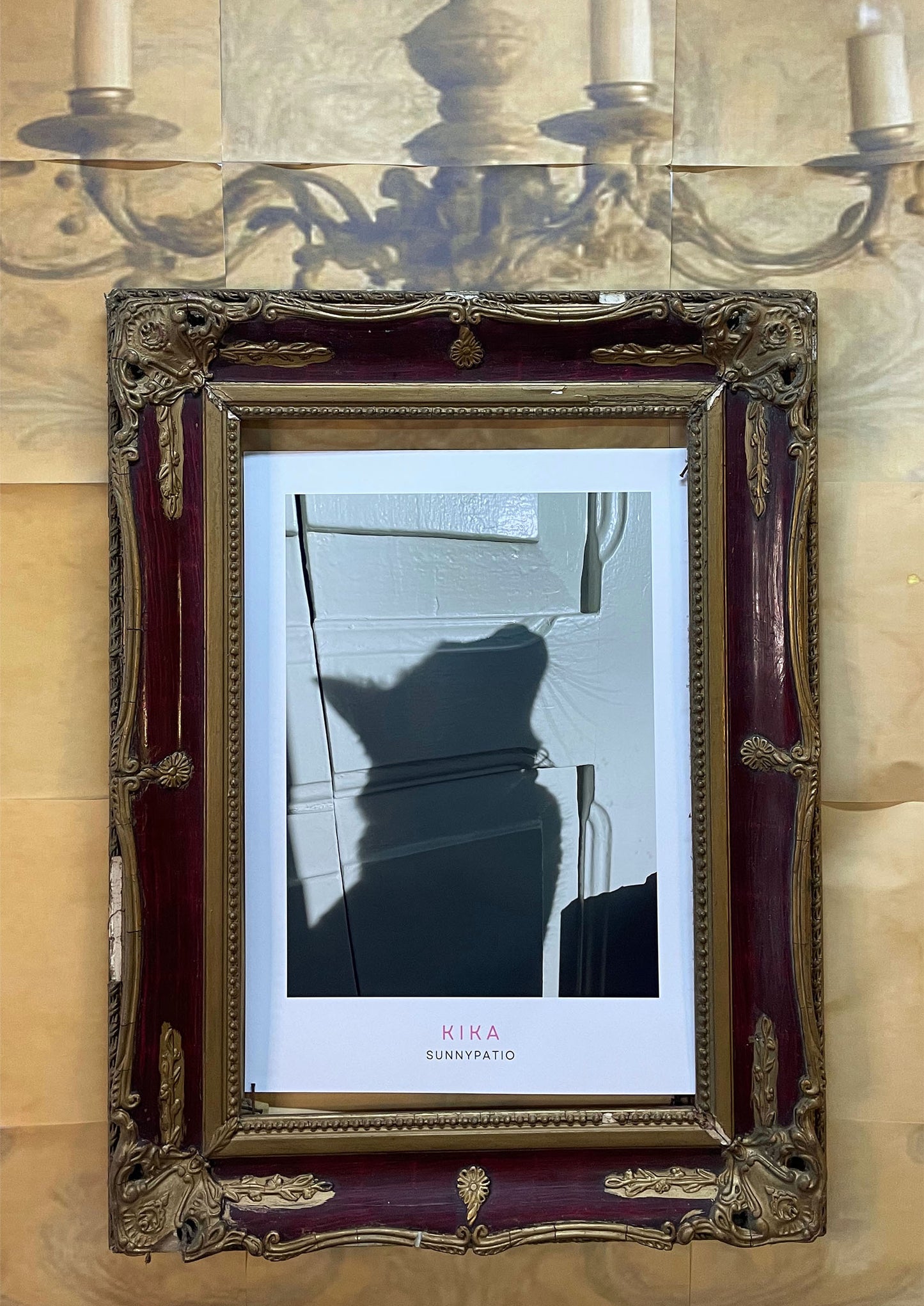 CATS - Kika, Dark Velvet