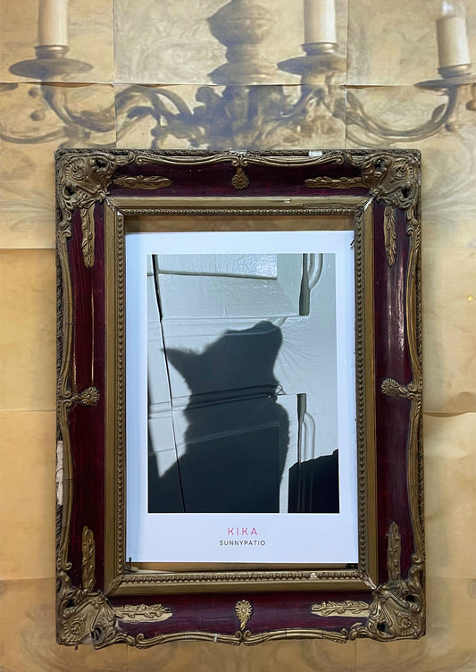 CATS - Kika, Dark Velvet