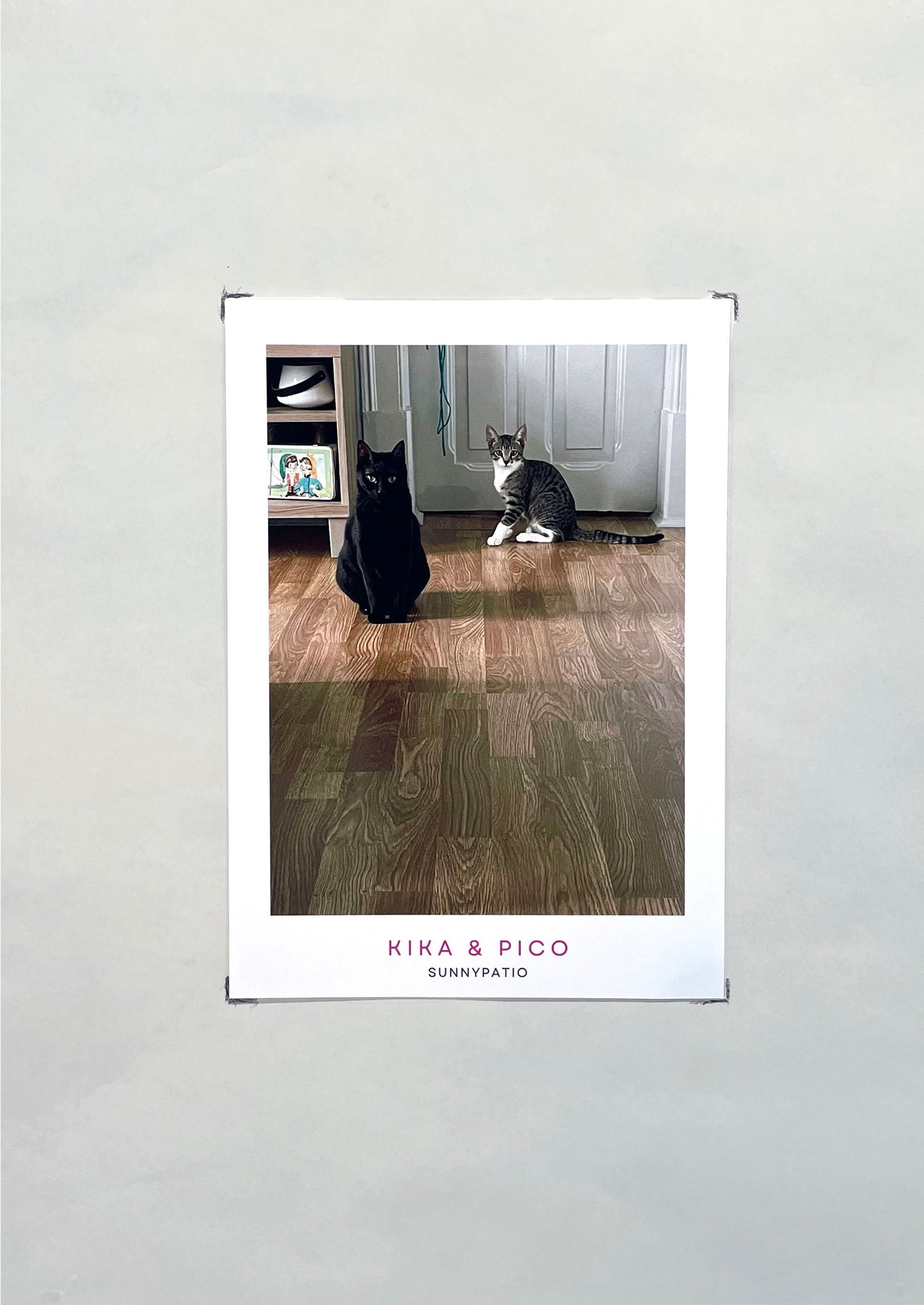 CATS - Nine Live, Infinite Charm