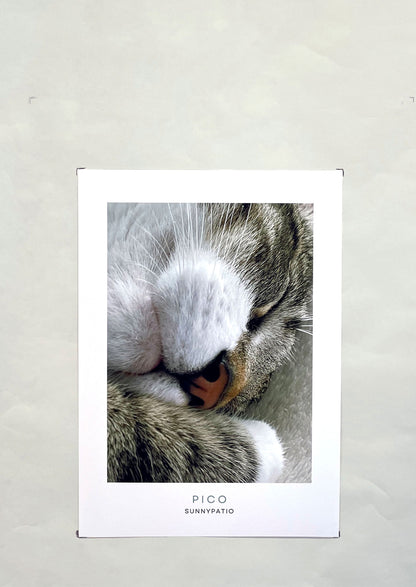 CATS - Pico Certified Nap Expert