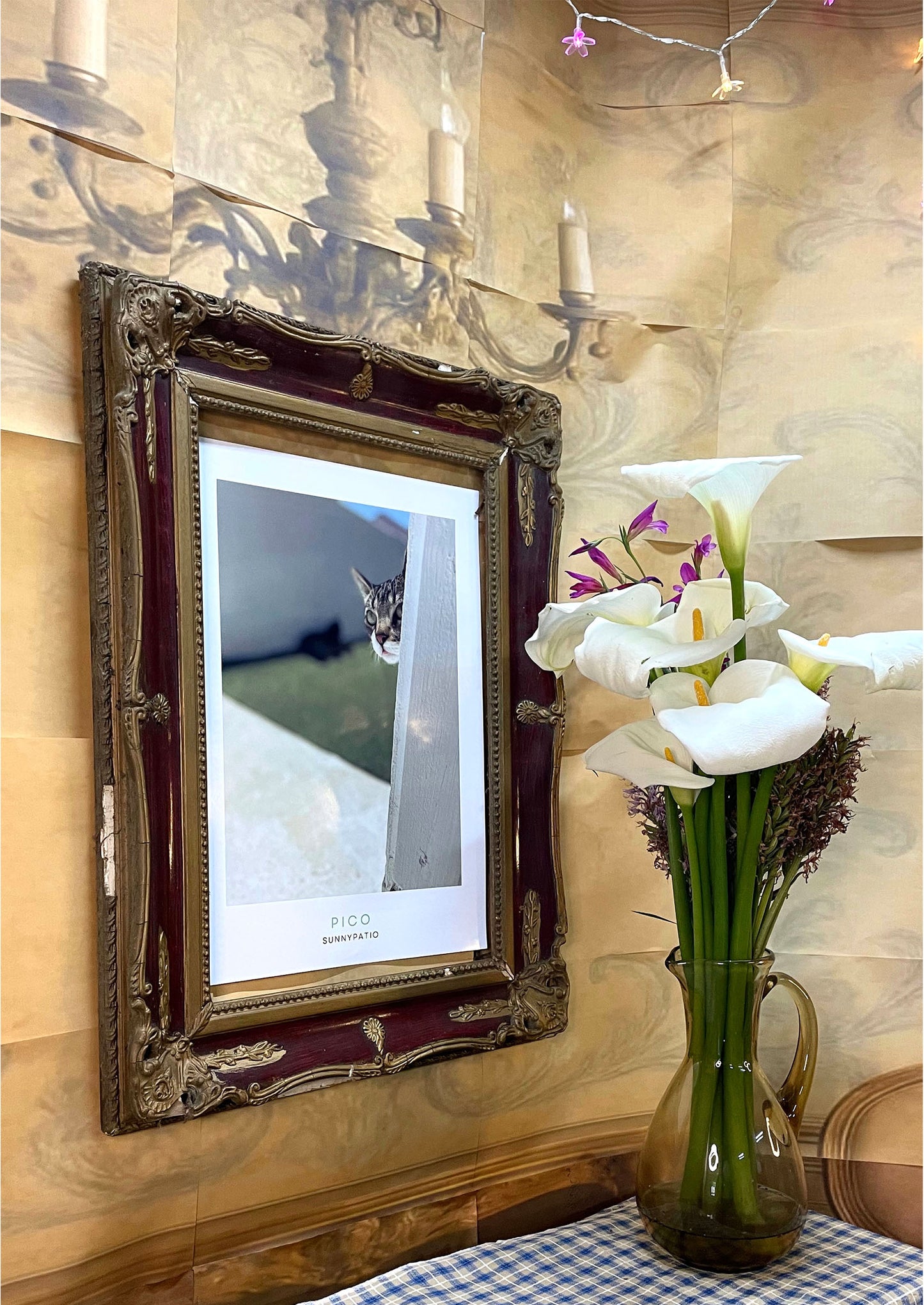 CATS - Who's There? says Pico